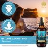 Valerian Root Tincture Liquid Extract – Extra Strength Nerve & Sleep Support Supplement, 2 fl oz