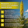 Welsdom Mullein Extract Liquid Drops 60mL