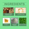 Googeer Premium Brain Supplement