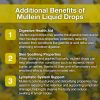 Welsdom Mullein Extract Liquid Drops 60mL