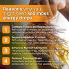 Welsdom Sea Moss Drops 60mL
